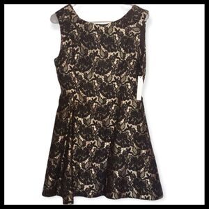 Aqua Black and Tan Skater Dress